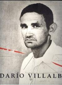 Darío Villalba. Una visión antológica 1957-2007